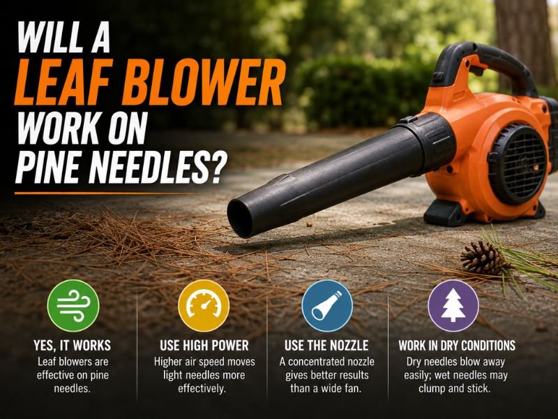 Will a Leaf Blower Work on Pine Needles?